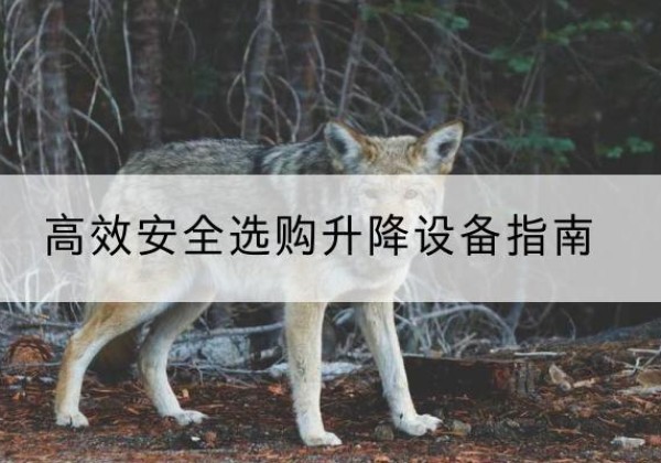 包头升降货梯厂家推荐-*安全选购升降设备指南