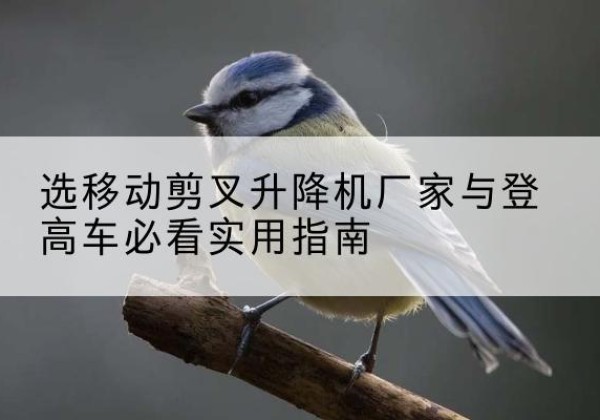 包头电动升降机厂家-选移动剪叉升降机厂家与登高车必看实用指南